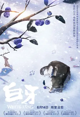 国产福利不卡一区二区三区